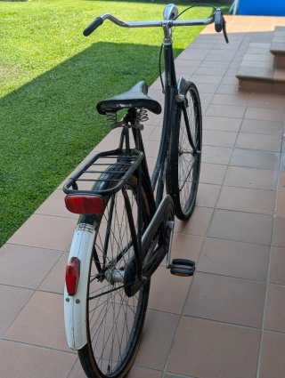 Bicicleta Paseo Holandesa