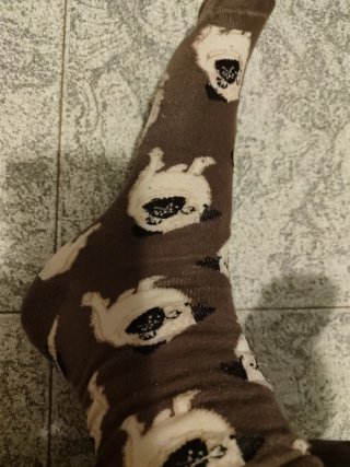 Calcetines divertidos de perro marrón