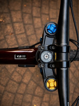 Santa Cruz v10