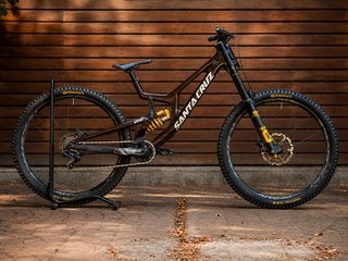 Santa Cruz v10