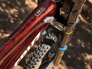 Santa Cruz v10