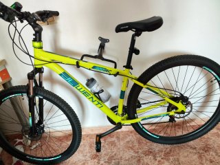 Bicicleta Montaña 29