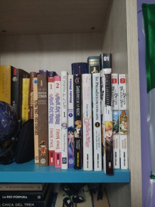Lote de mangas.