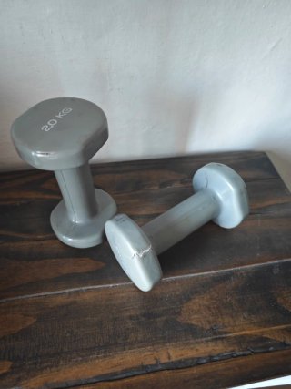 Lote de pesos de entrenamiento Domyos