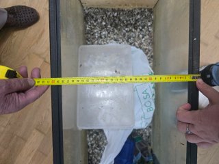 Acuario 100L