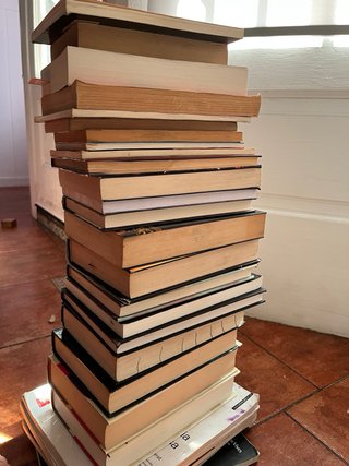 22 libros de segunda mano. Estado bueno/acepta