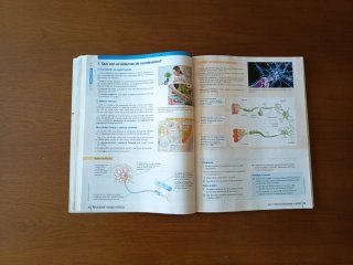 BIOLOXIA E XEOLOXIA 3 (COMUNIDADE EN REDE)