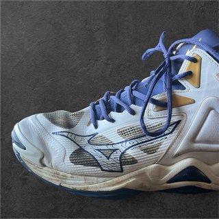 Mizuno Wave Momentum 3 Mid EU 45 Pallavolo