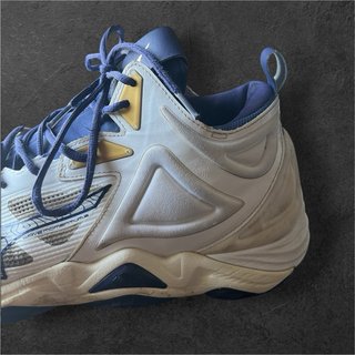 Mizuno Wave Momentum 3 Mid EU 45 Pallavolo
