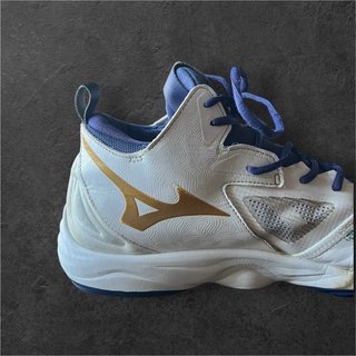 Mizuno Wave Momentum 3 Mid EU 45 Pallavolo