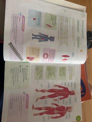 CIENCIAS DE LA NATURALEZA 5 PRIMARIA CONSTRUYEN...