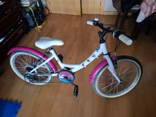 Bicicleta niña 20 pulgadas