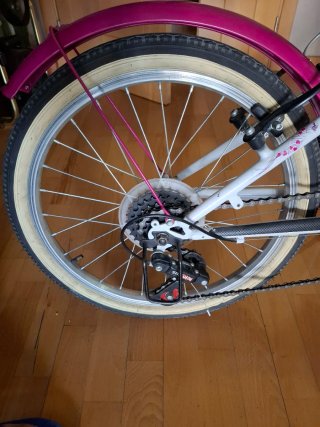 Bicicleta niña 20 pulgadas