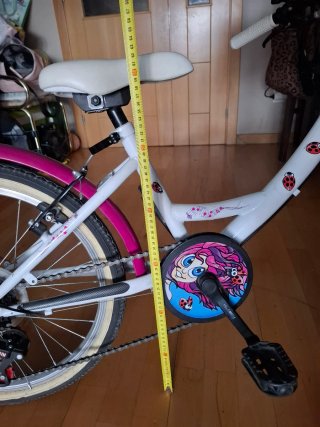 Bicicleta niña 20 pulgadas