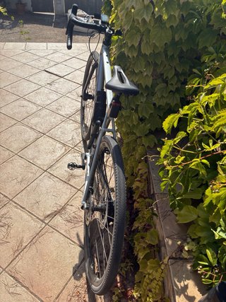 Canyon Endurace All-Road Talla S 2026, 300km