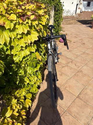 Canyon Endurace All-Road Talla S 2026, 300km