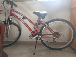 Bicicleta Topbike Hobby 100 Roja