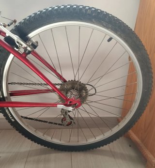 Bicicleta Topbike Hobby 100 Roja