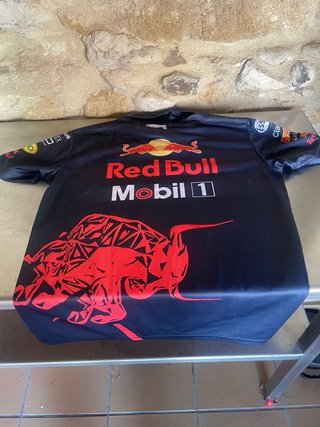 Camiseta manga larga estampada