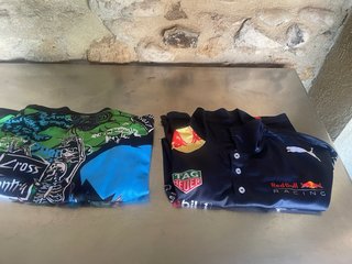 Camiseta manga larga estampada