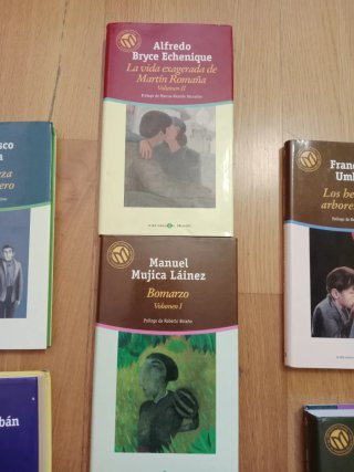 Lote de libro contemporáneos