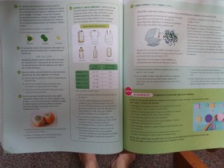 Física i Quimica, 2 ESO, Projecte Construint mons