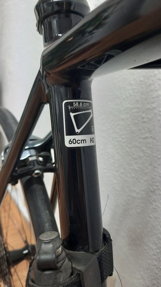 Bici Carretera TREK Emonda ALR4 (2016)