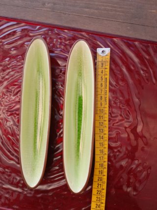 2 Ciotole Barchetta per Antipasti in Ceramica