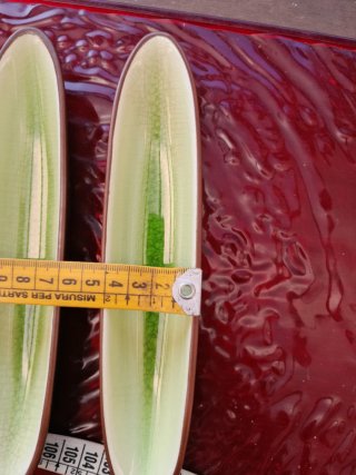 2 Ciotole Barchetta per Antipasti in Ceramica