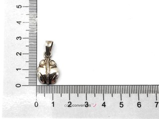 colgante plata 925mm