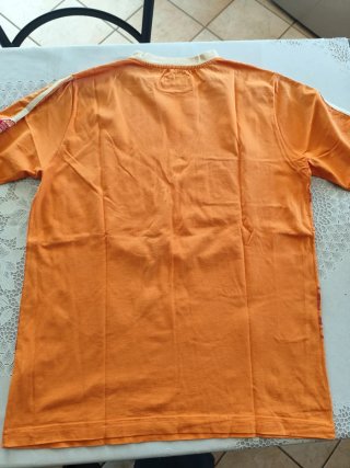 T-shirt The Alaskan Uomo L Arancione