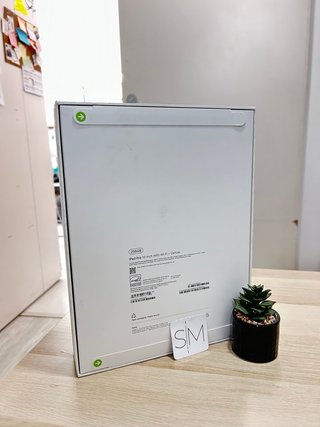 iPad Pro 13 M5 256gb Celular Sin Abrir