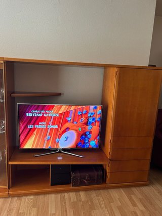 Muebles de salón madera