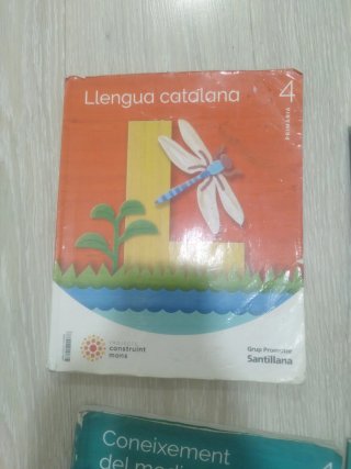 Libros 4 primaria