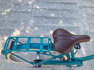 Bicicleta Holandesa Paseo Verde