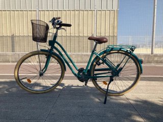 Bicicleta Holandesa Paseo Verde
