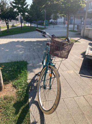 Bicicleta Holandesa Paseo Verde