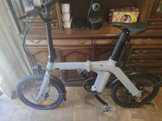 Bicicleta Eléctrica Plegable Fiido D11