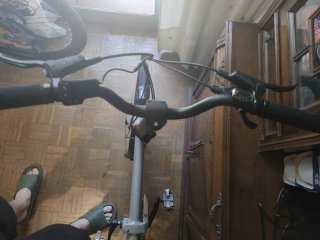 Bicicleta Eléctrica Plegable Fiido D11
