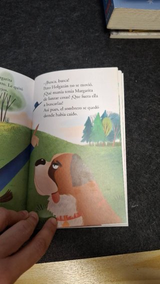 Libro infantil de lectura