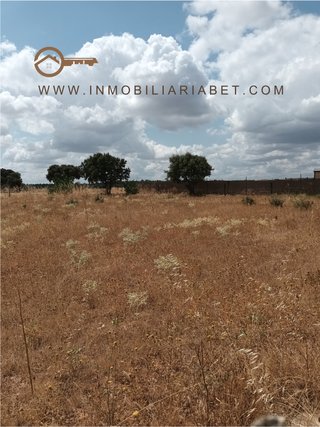 Parcela Rustica en Calvarrasa de Arriba