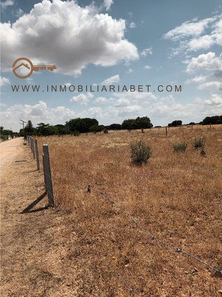 Parcela Rustica en Calvarrasa de Arriba