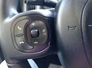 Fiat Panda 20/01/2026