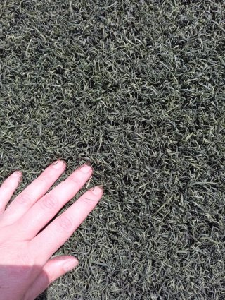 Césped Artificial Verde