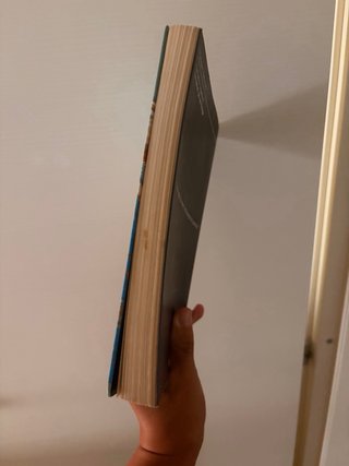 Libro Ligabue la neve se ne frega