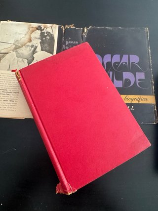 Novela biográfica Oscar Wilde