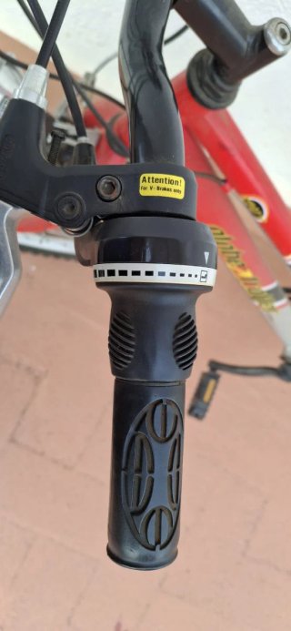 Bicicleta de montaña Globe Trotter