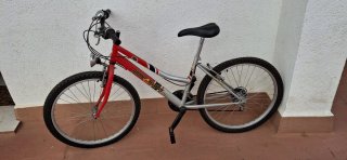 Bicicleta de montaña Globe Trotter