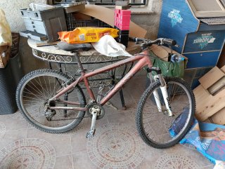 Bicicleta de Montaña Roja