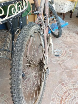 Bicicleta de Montaña Roja